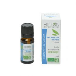 Organic eucalyptus radiata essential oil 10 ml