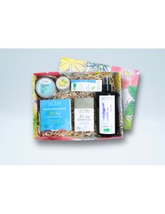 Box de l'ado HITTON 2