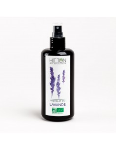 Organic lavender floral...