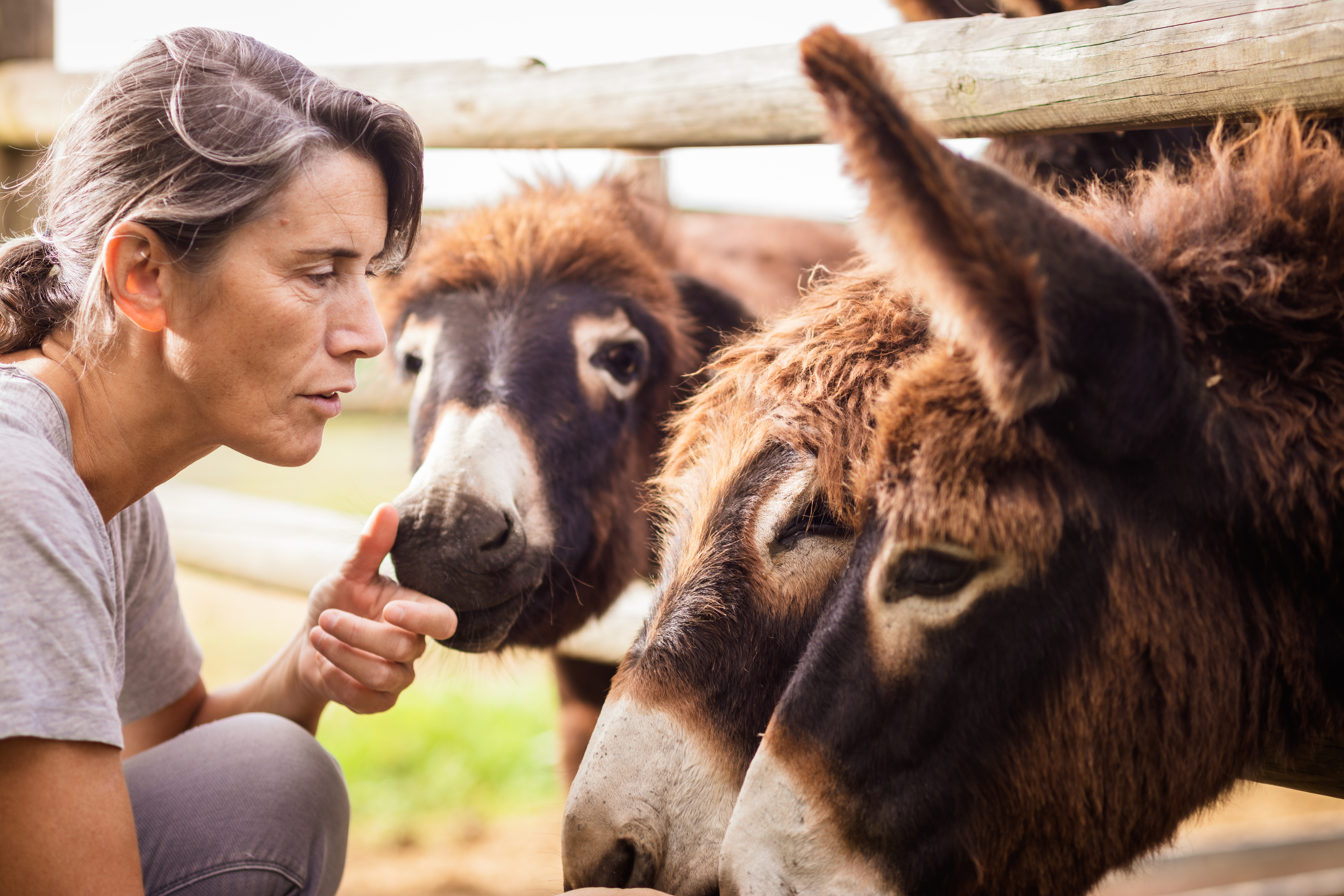 Artisan natural and organic cosmetic production at Ferme du Hitton in France