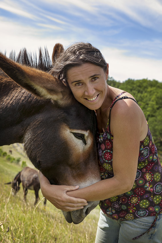 Pyrenean donkeys at Ferme du Hitton in France
