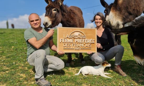  La ferme du Hitton élue «Ferme Préférée des Français 2021». 
